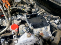 Промывка впускного коллектора, последствия работы EGR Toyota Land Cruiser 200 4.5d 249 Hp (Фото 1)
